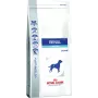 Royal Canin Renal Special - sausā suņu barība - 2 kg