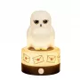 BlueSkyStudios Harry Potter -mini lampa USB-C (regulējams spilgtums)
