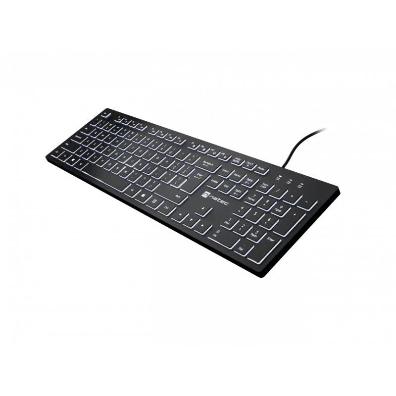 Vadu tastatūra NATEC HERRING GLOW ASV izkārtojums ar baltu fona apgaismojumu