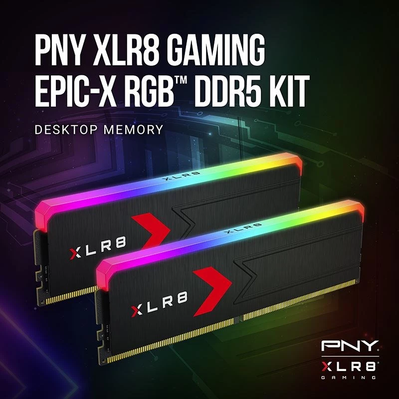 Atmiņa PNY DDR5 32GB 5600 BULK