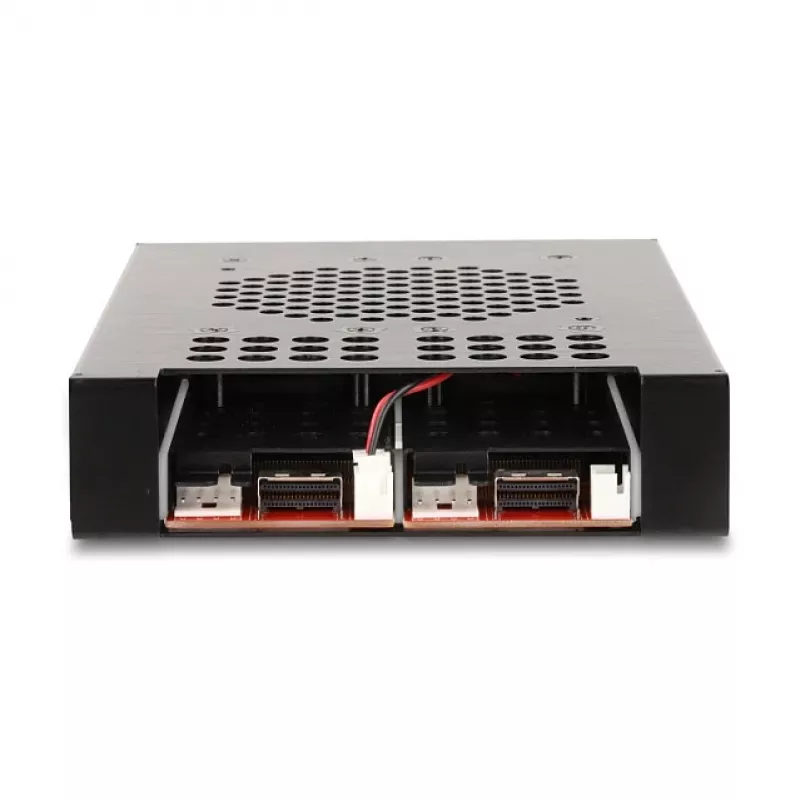 SSD korpuss DeLOCK 47117 3,5 collu mobilais rāmis 2 x M.2 NVMe SSD
