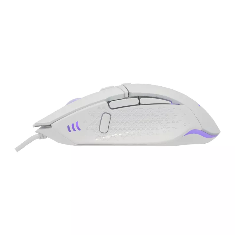 Pele Baracuda BGM-051 Raptor balta USB