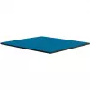 Thermal Grizzly Minus Pad Advance – termiskie paliktņi, 100 × 100 × 0.5 mm, 2 gab. (TG-MP-A-100-100-05-2)