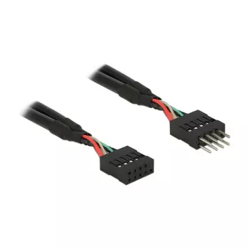 Kabelis DeLOCK 0,1m 2xUSB2.0 10p
