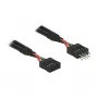 Kabelis DeLOCK 0,1m 2xUSB2.0 10p