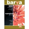Fotopapīrs Barva Profi Super Glossy 255 g/m² A3 20 loksnes