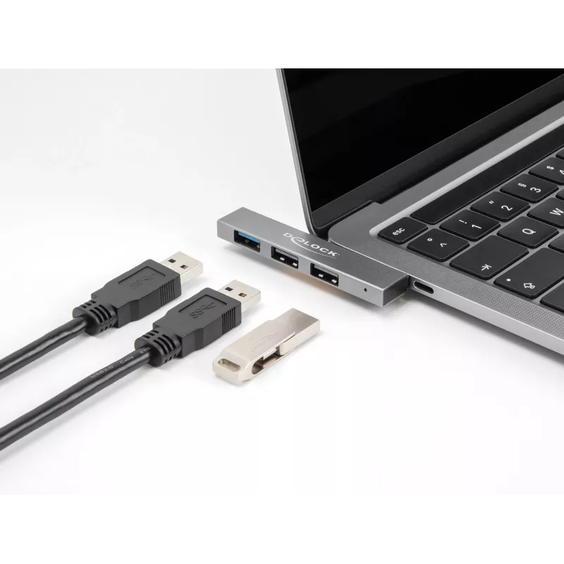 DeLOCK 3 portu plāns USB centrmezgls USB Type-C 10 Gbps 2 x USB 2.0