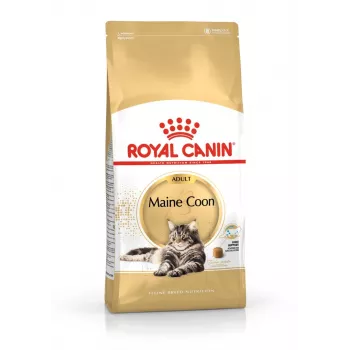 Sausā kaķu barība Royal Canin Maine Coon Adult 10 kg — mājputnu gaļa (vista), 31% olbaltumvielu, 20% tauku