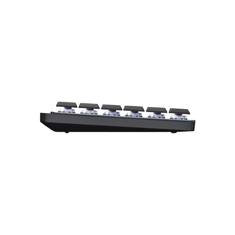 Logitech Master Series MX Mechanical - Tastatūra