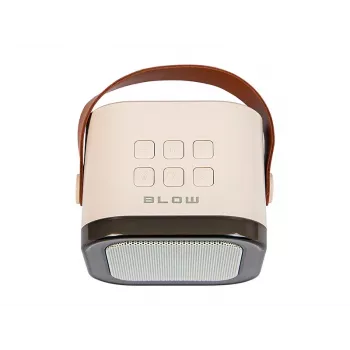 Karaoke skaļrunis, KARAOKE RGB Bluetooth skaļrunis, 30W