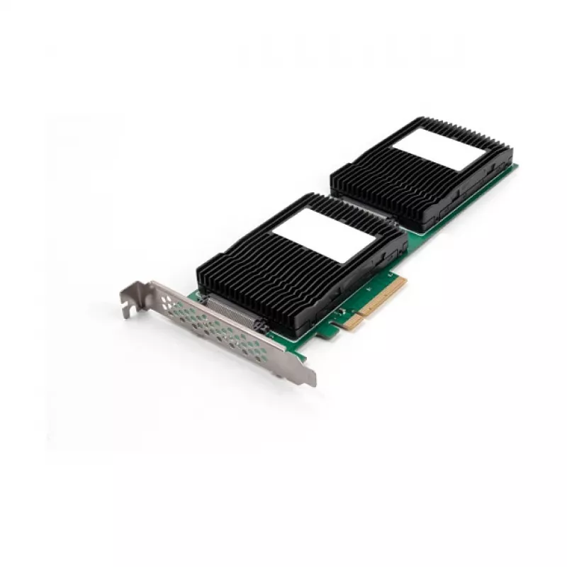 DeLOCK 90151 iekšējais U.2 adapteris PCIe ar LED indikatoriem