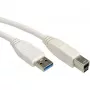 VALUE USB kabelis - USB Type A (M) uz USB Type B (M)