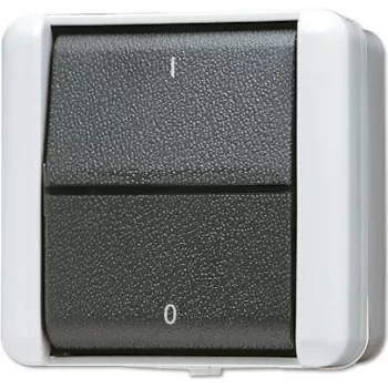 JUNG 802 W - svirslēdzis - 2P - vadu - melns - balts - termoplasts - IP44