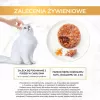 GOURMET GOLD - Sāļā kūka ar vistu un burkānu 85g