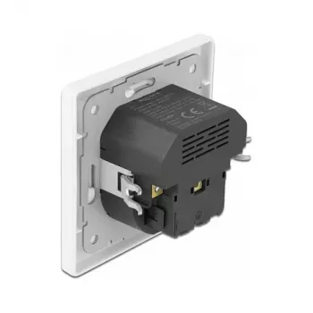 DeLOCK 11489 kontaktligzda CEE 7/3 + USB balta 250V 16A