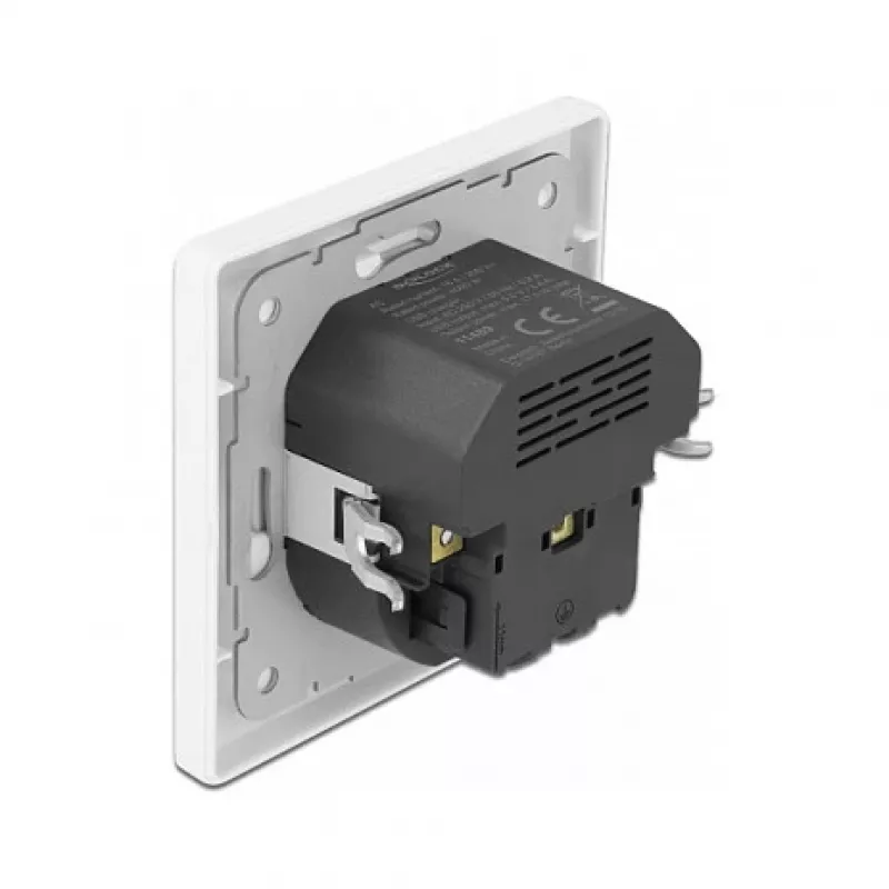 DeLOCK 11489 kontaktligzda CEE 7/3 + USB balta 250V 16A
