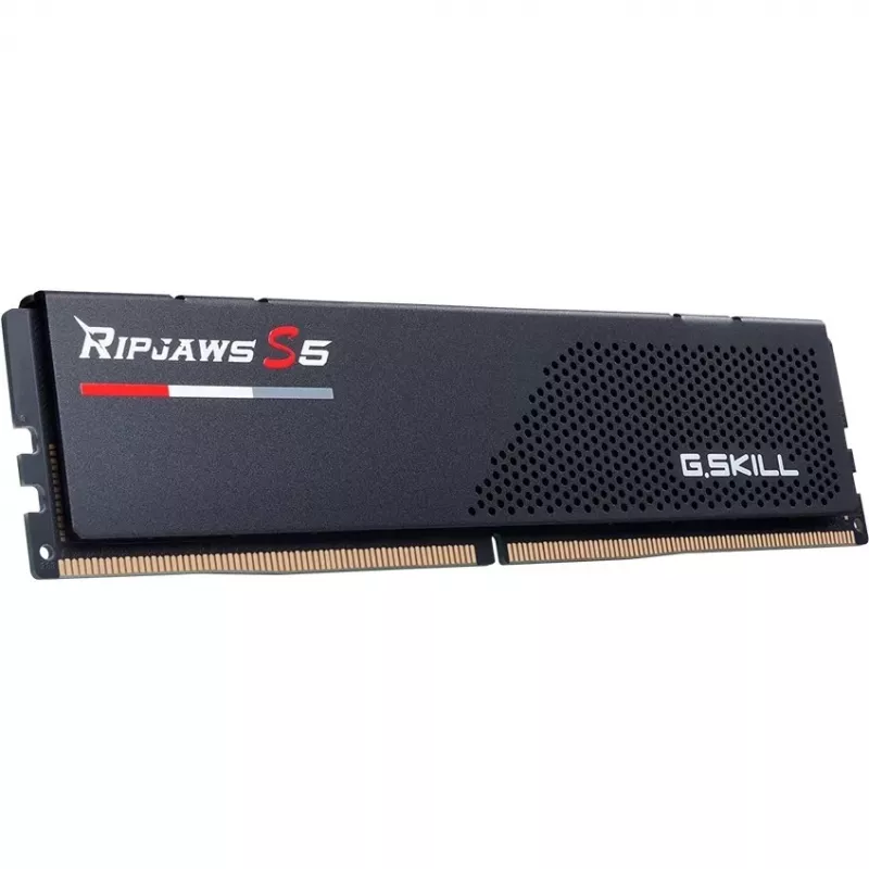 G.skill F5-6800J3446F24GX2-RS5K atmiņas modulis
