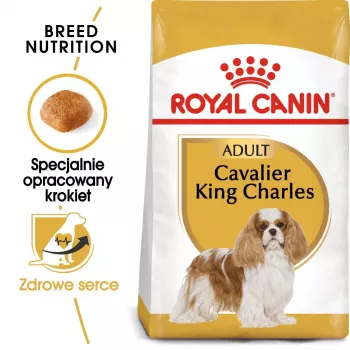 Sausā suņu barība Royal Canin Cavalier King Charles Adult 1.5 kg — Vistas gaļa, mazās šķirnes, āda un apmatojums, sirds atbalsts