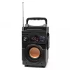Squeak Bassblaster Bluetooth 5.1 skaļrunis, FM radio, MP3 atskaņotājs SQ1001