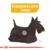 Slapjā suņu barība Royal Canin Dermacomfort Adult 85 g paciņā — jutīgai ādai, mājputnu garša, 78% mitrums
