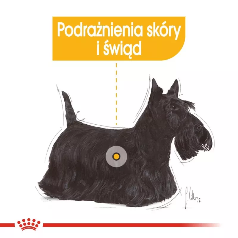 Slapjā suņu barība Royal Canin Dermacomfort Adult 85 g paciņā — jutīgai ādai, mājputnu garša, 78% mitrums
