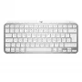 Tastatūra MX Keys Mini Mac Pale 920-010526 pelēka