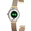 Viedpulkstenis MaxCom FW42 GOLD Gold