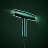 BaByliss Air Power Pro matu žāvētājs 1700 W Zelts, Zaļš