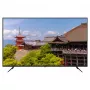 164,0 cm/65 inch (3840x2160) JAPANNEXT JN-IPS650UHD60F 16:9 IPS 60Hz HDMI USB WLAN Speaker Melns
