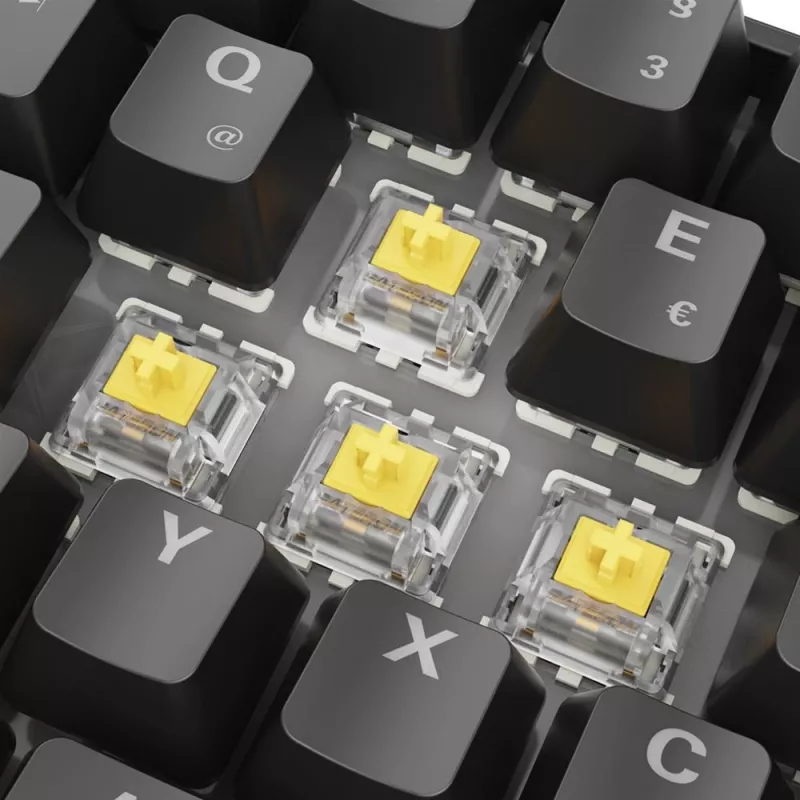 Sharkoon 100065629 tastatūra Home USB QWERTZ vācu melna