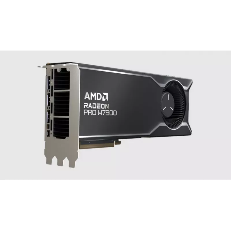AMD Radeon PRO W7900 48 GB GDDR6 grafikas karte