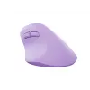 NATEC Crake 2 pele Universāla Labroču RF Bezvadu + Bluetooth Optiskā 2400 DPI