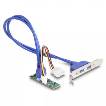 DeLOCK interfeisa kartes/adapteris 61065 Iekšējais USB 3.2 Gen 1 M.2 Vīrišķais