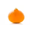 Uchiki Kuri Pumpkin Toraf Vegetable Seeds, 5g Pack