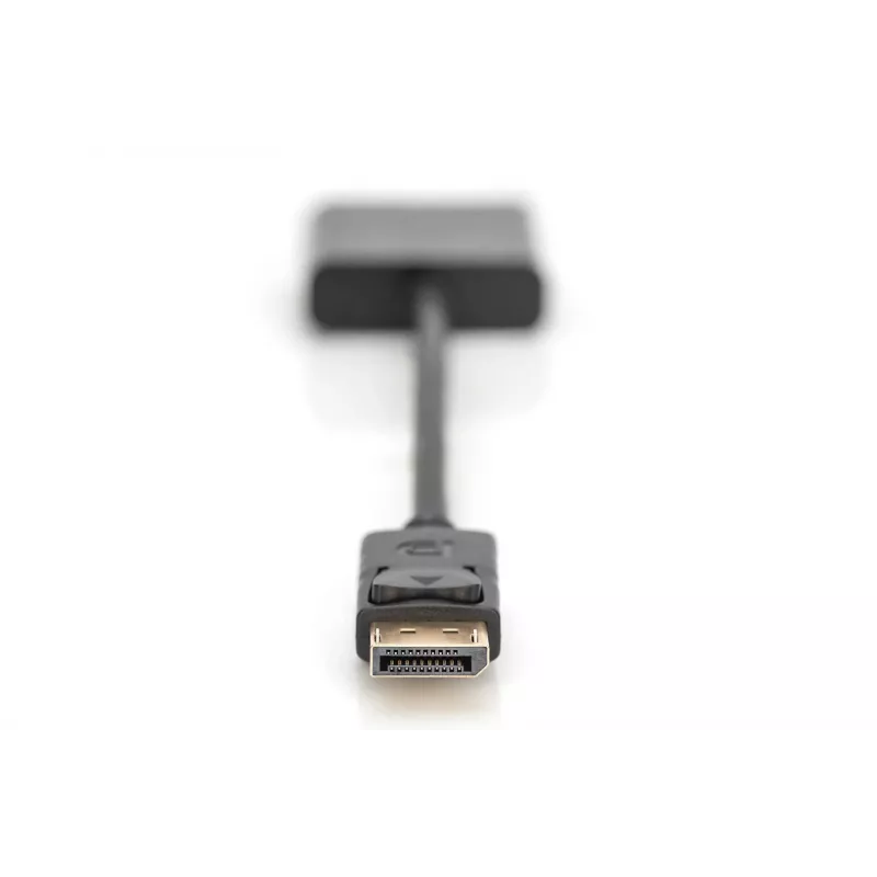Digitus DisplayPort adapteris / pārveidotājs