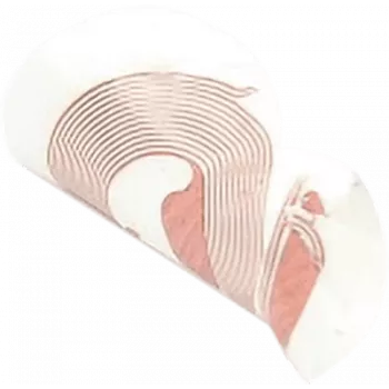 NFC uzlīme SCOT NTAG213 18 mm balta, RFID birka, 10 gab. iepakojums