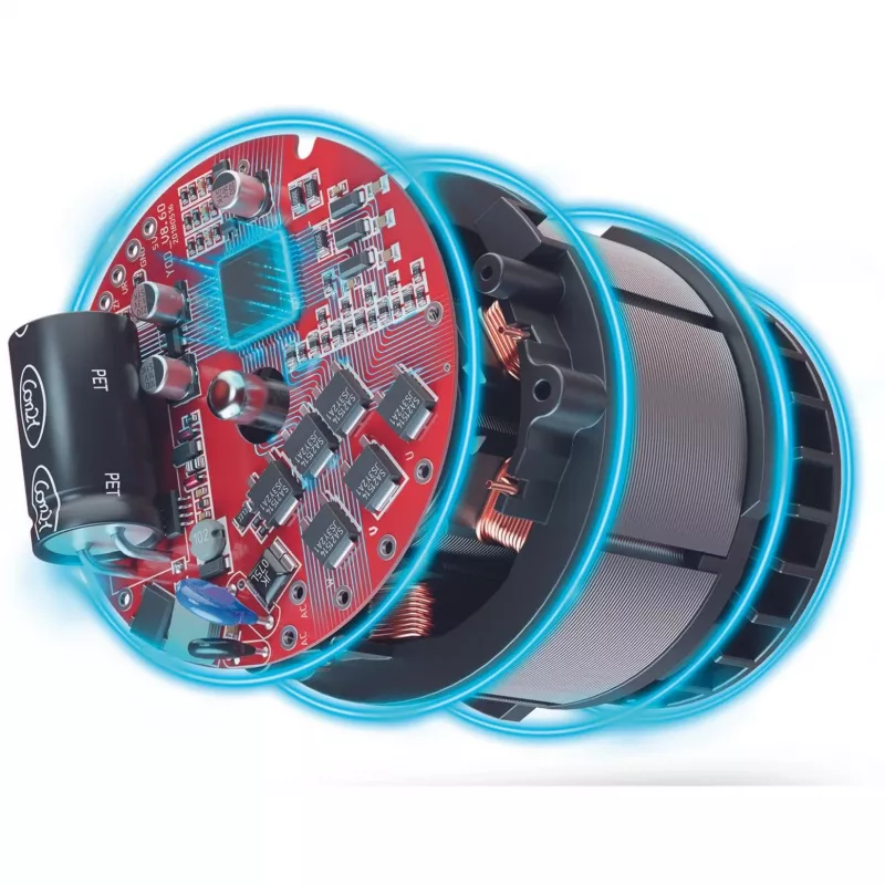 Grīdas slīpmašīna Einhell TP-DWS 18/225 Li BL