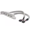 Slot Bracket kabelis USB 2.0 HighSpeed Type 2xIDC (5pin)/4xUSB A M/F pelēks 0,25m