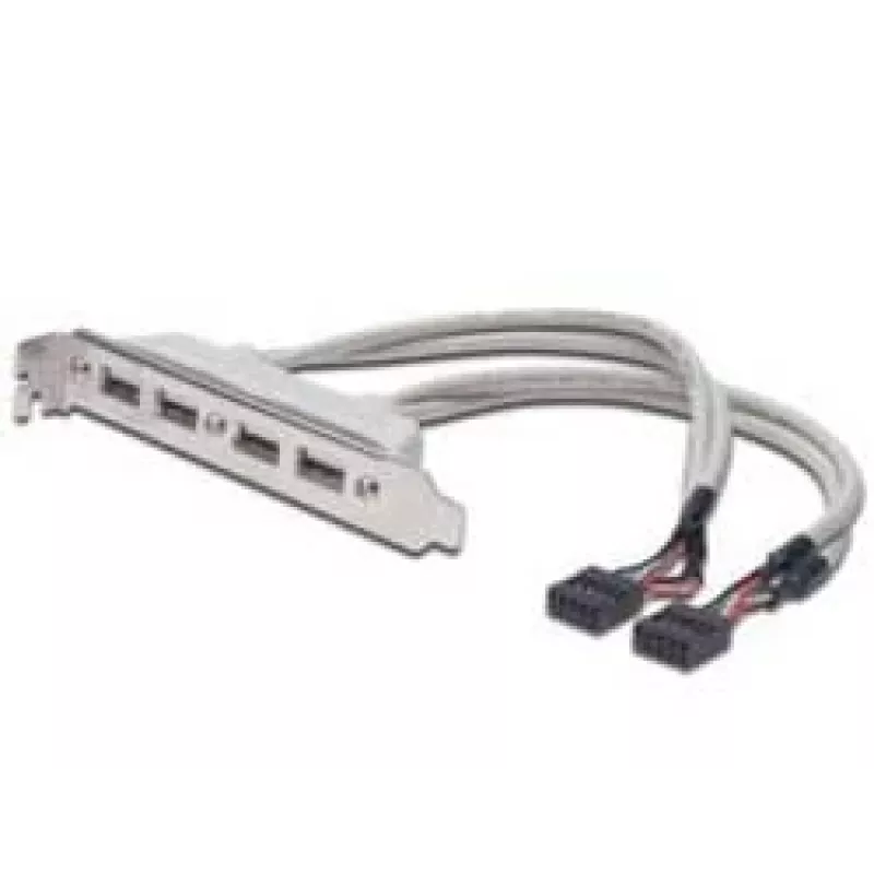 Slot Bracket kabelis USB 2.0 HighSpeed Type 2xIDC (5pin)/4xUSB A M/F pelēks 0,25m