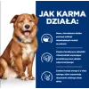 HILL'S Prescription Diet Derm Complete - sausa suņu barība - 1,5kg