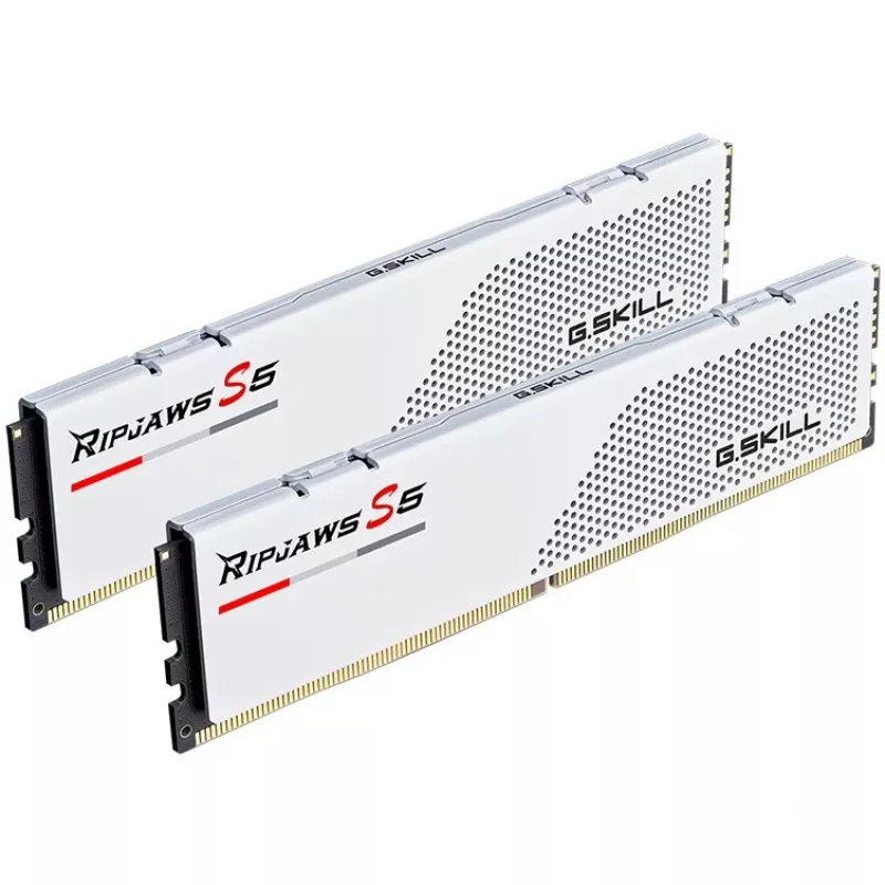 G.Skill F5-6000J3036F24GX2-RS5W atmiņas modulis 48 GB 2 x 24 GB DDR5 5600 MT/s
