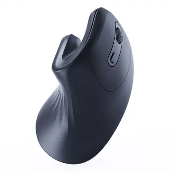Gembird MUSW-ERGO-03 pele Mājas Labās rokas RF bezvadu Optiskā 1600 DPI