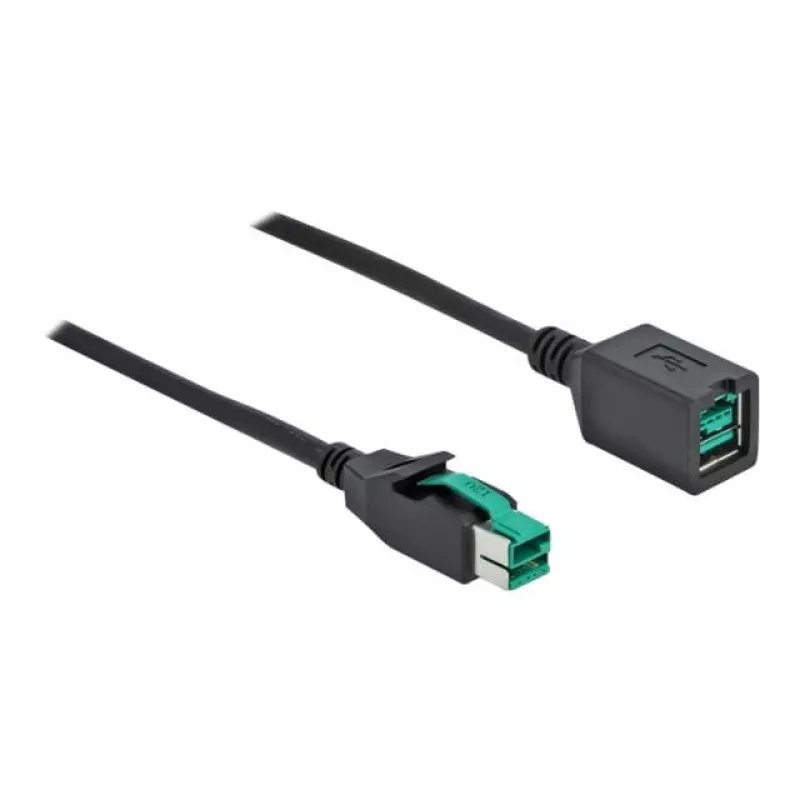 Barošanas USB pagarinātāja kabelis DELOCK 85980 12 V 1 m