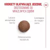 ROYAL CANIN Ageing 15+ - sausā kaķu barība - 4 kg