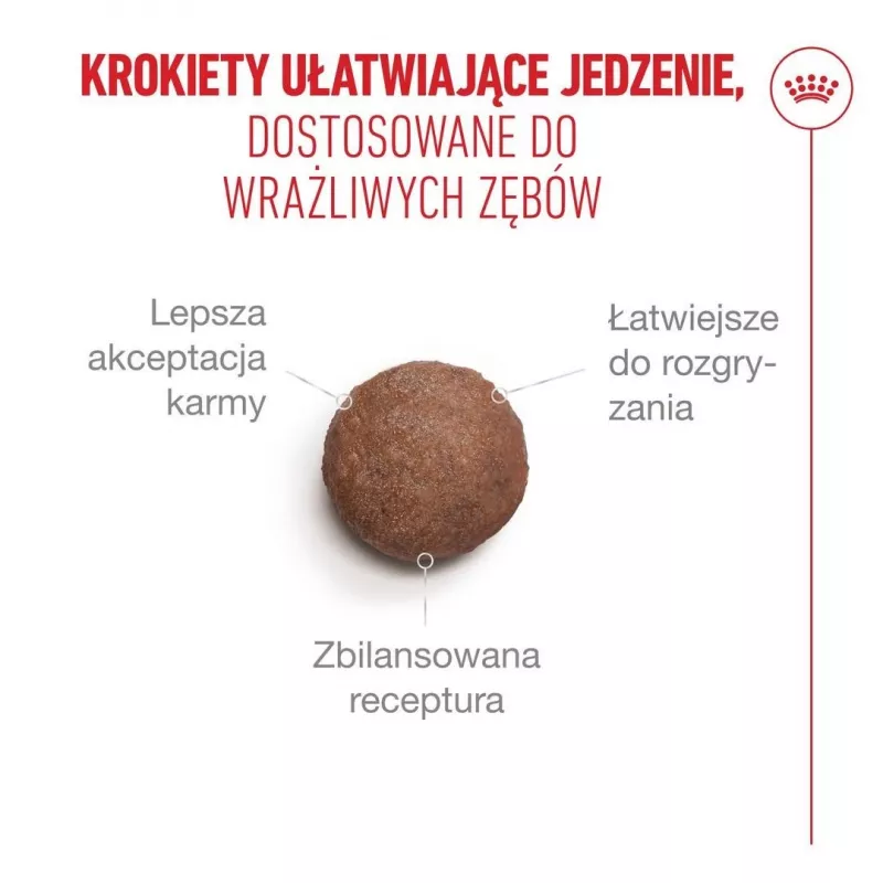 ROYAL CANIN Ageing 15+ - sausā kaķu barība - 4 kg