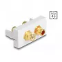 DeLOCK Easy 45 ligzda 2 x RCA balta ABS