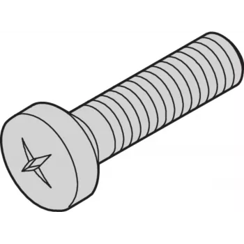 SCHROFF NTS FLKOSCHR.M3X6 SN11 100 gab. (21102024)