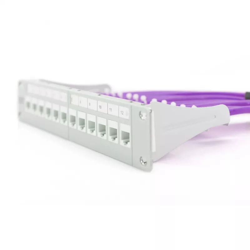 Tīkla kabelis Digitus Cat.6 U/UTP 305m Violet