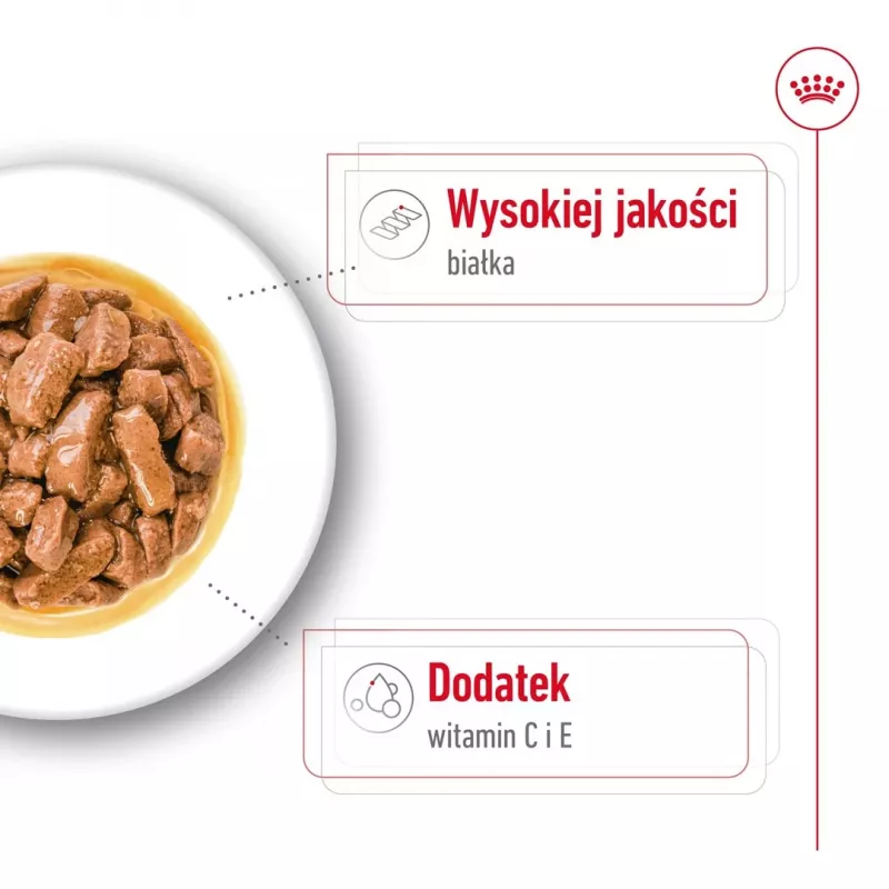 ROYAL CANIN SHN Medium Adult mērcē - mitrā barība pieaugušiem suņiem - 10x140g