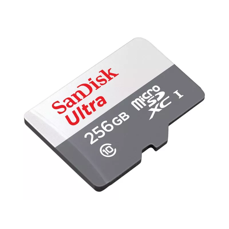 Flash atmiņa SanDisk 256 GB MicroSDXC UHS-I SDSQUNR-256G-GN6TA